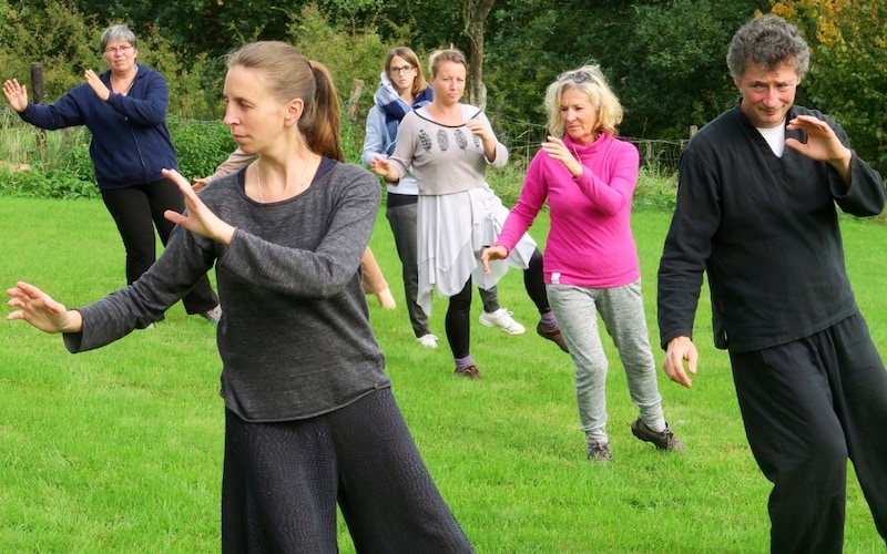 Libr'énergie - Geneviève Bozet - Art du Chi - Cours collectifs Tai Chi Qi Gong 09