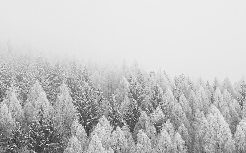 Libr'énergie - Geneviève Bozet - Stage hiver